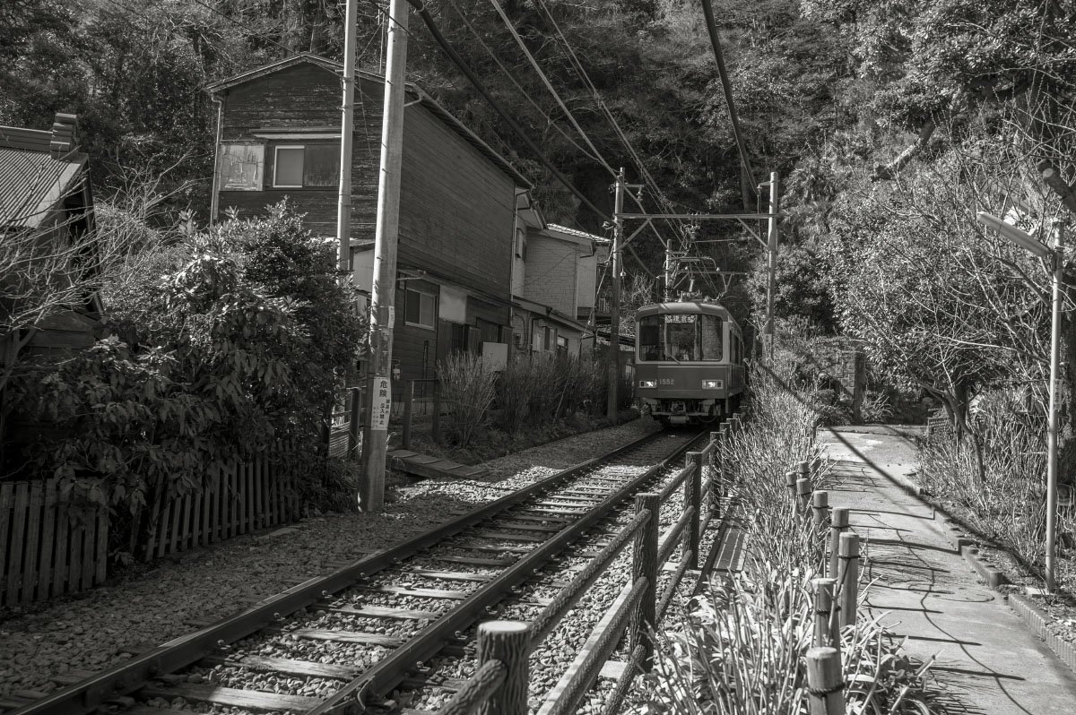 ⛩️ 고료 신사 이미지 6